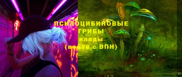 ПСИЛОЦИБИНОВЫЕ ГРИБЫ Алексин