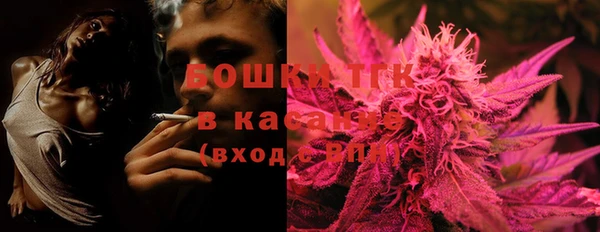 ПСИЛОЦИБИНОВЫЕ ГРИБЫ Алексин
