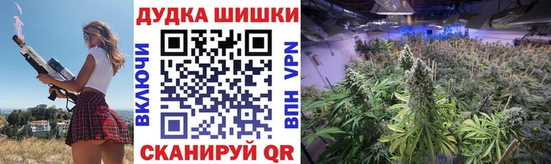 Купить где Торжок Конопля Amnesia